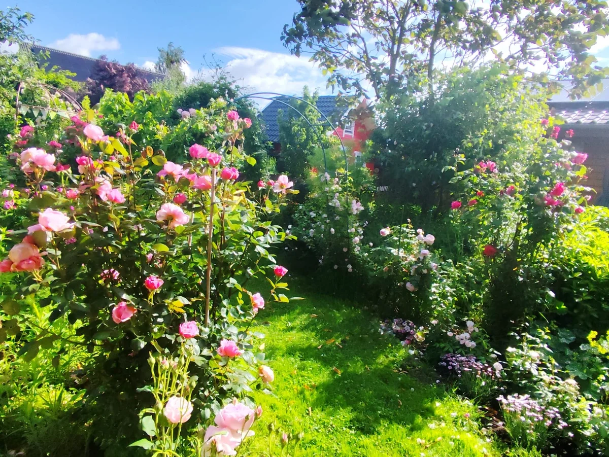 Gartenstelle 3 — nachher: Blumenbeet