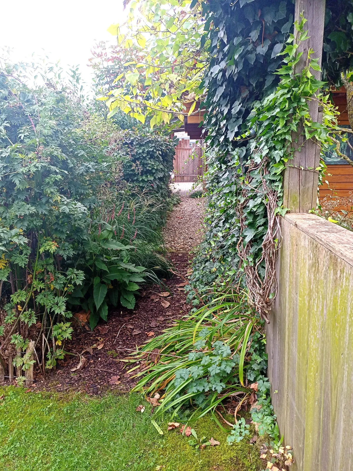 Gartenstelle 3 — vorher: ungenutzte Ecke