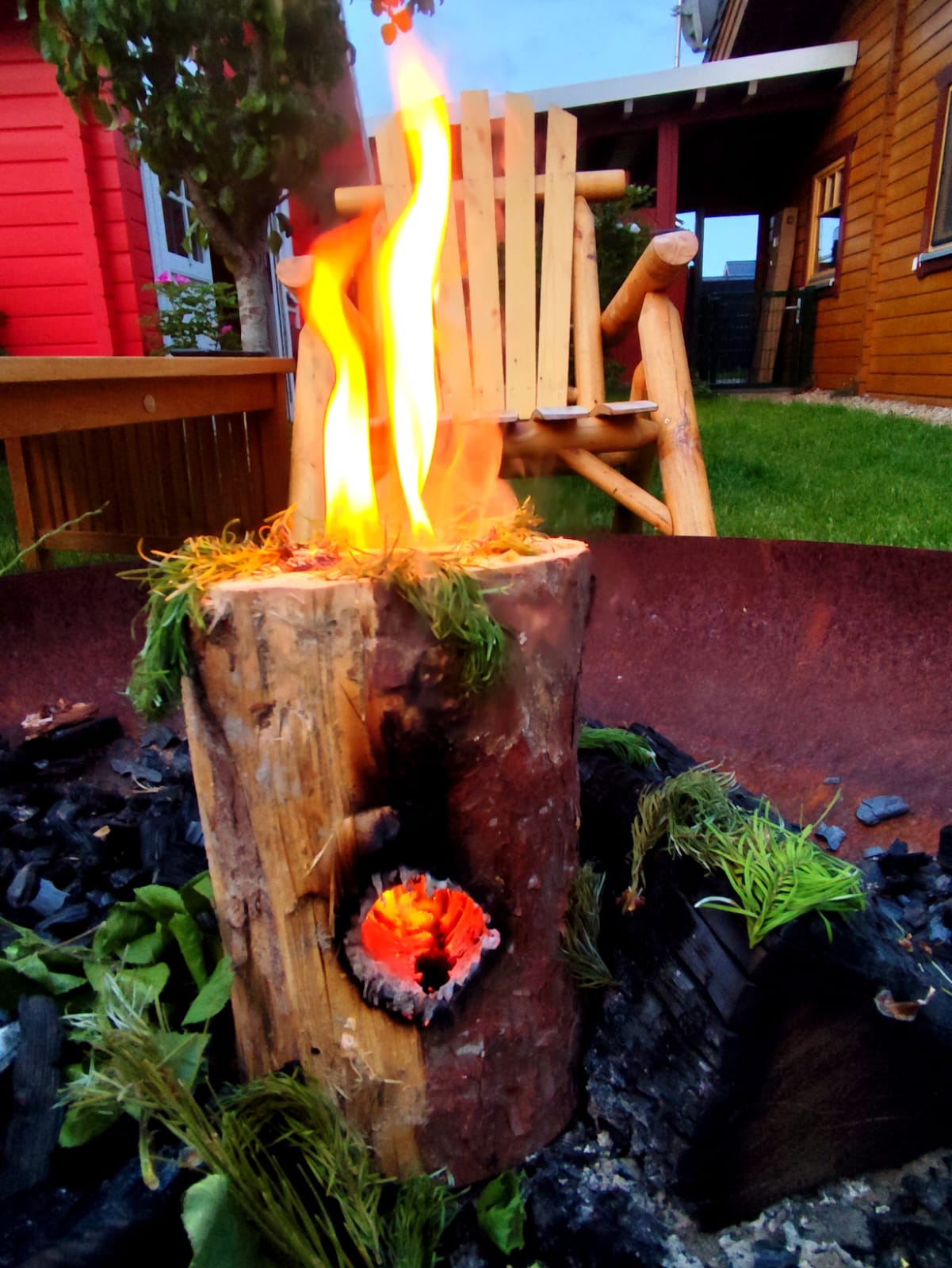 Schwedenfeuer im Garten
