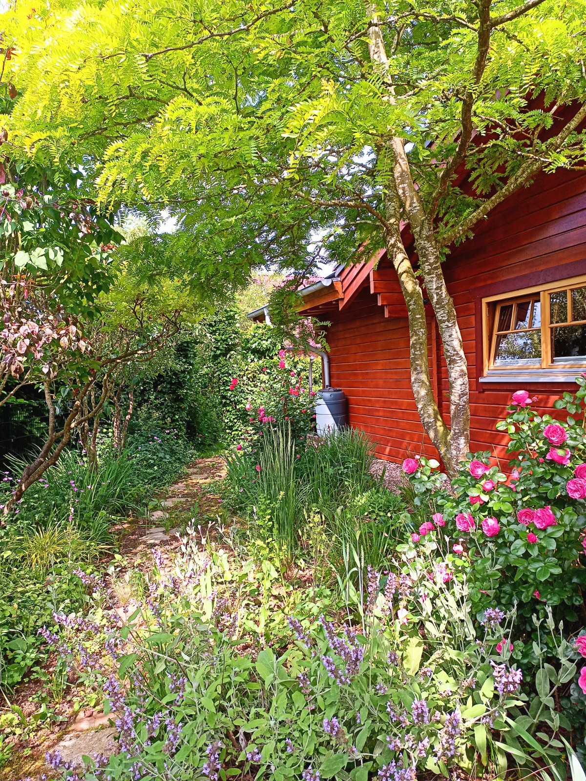 Gartenweg mit blühenden Beeten vor dem roten Schwedenhaus
