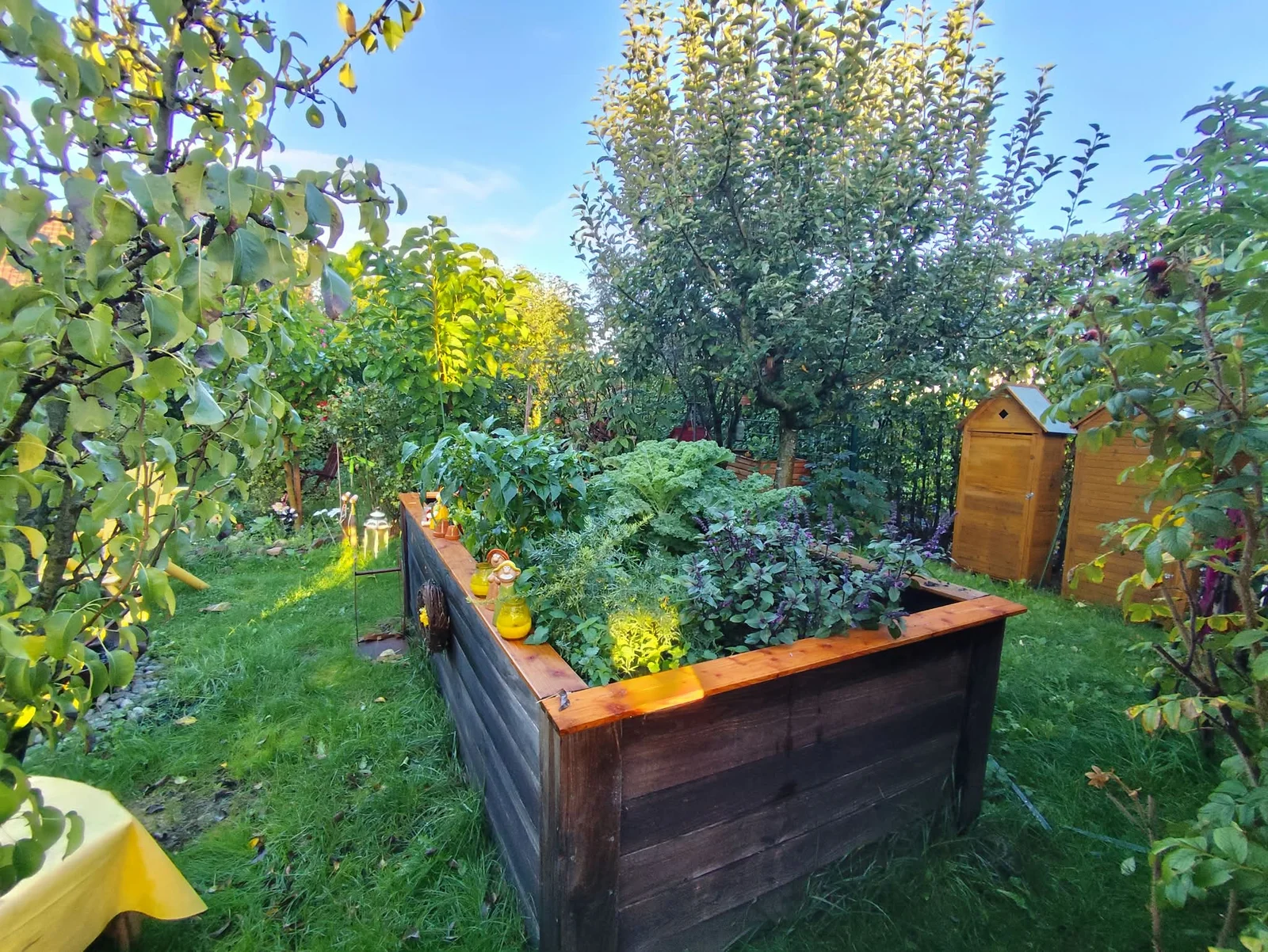 Hochbeet im Waldgarten mit Grünkohl, Kräutern und Basilikum, dahinter zwei Gartenhäuschen aus Holz
