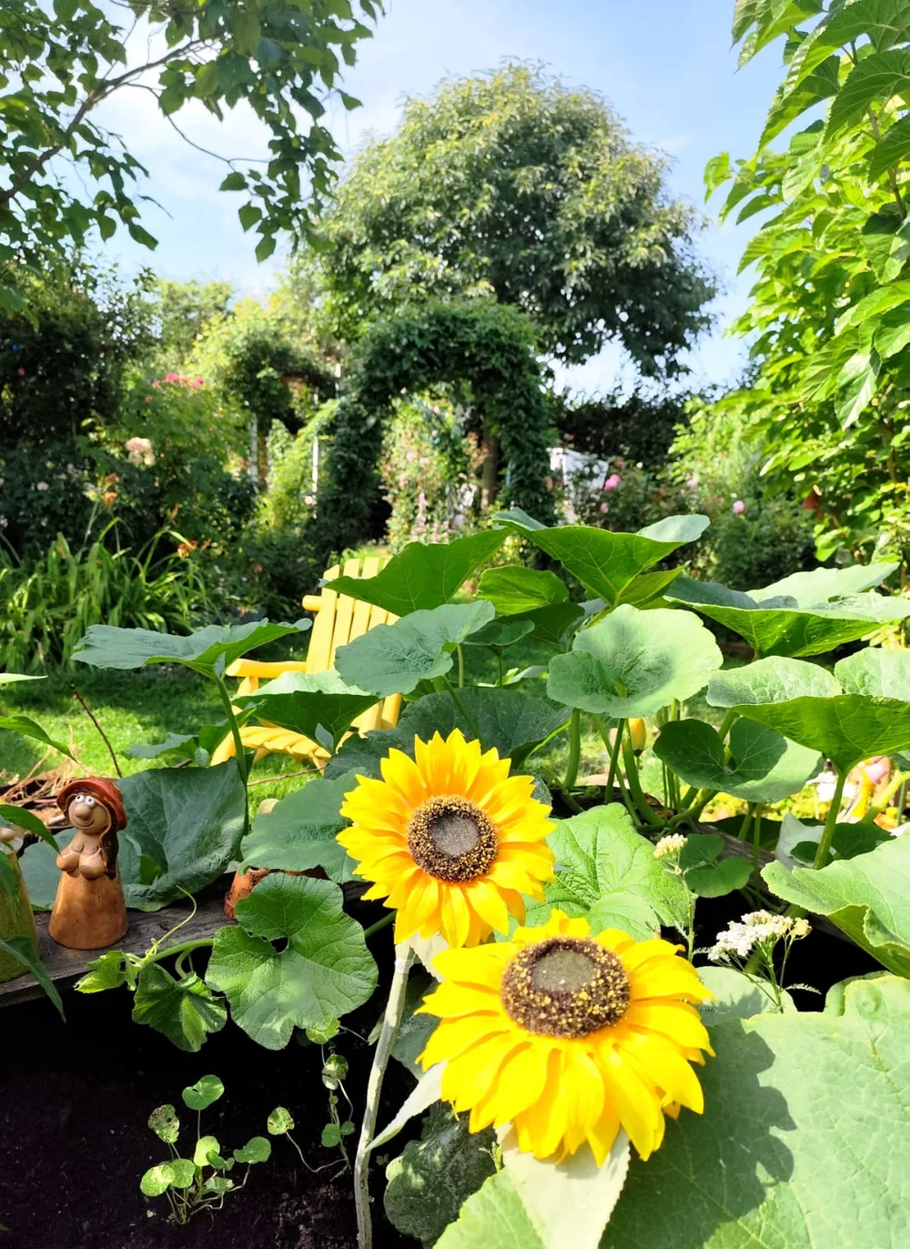 Garten mit Sonnenblumen, Kürbispflanzen, Rosenbogen und gelbem Gartenstuhl