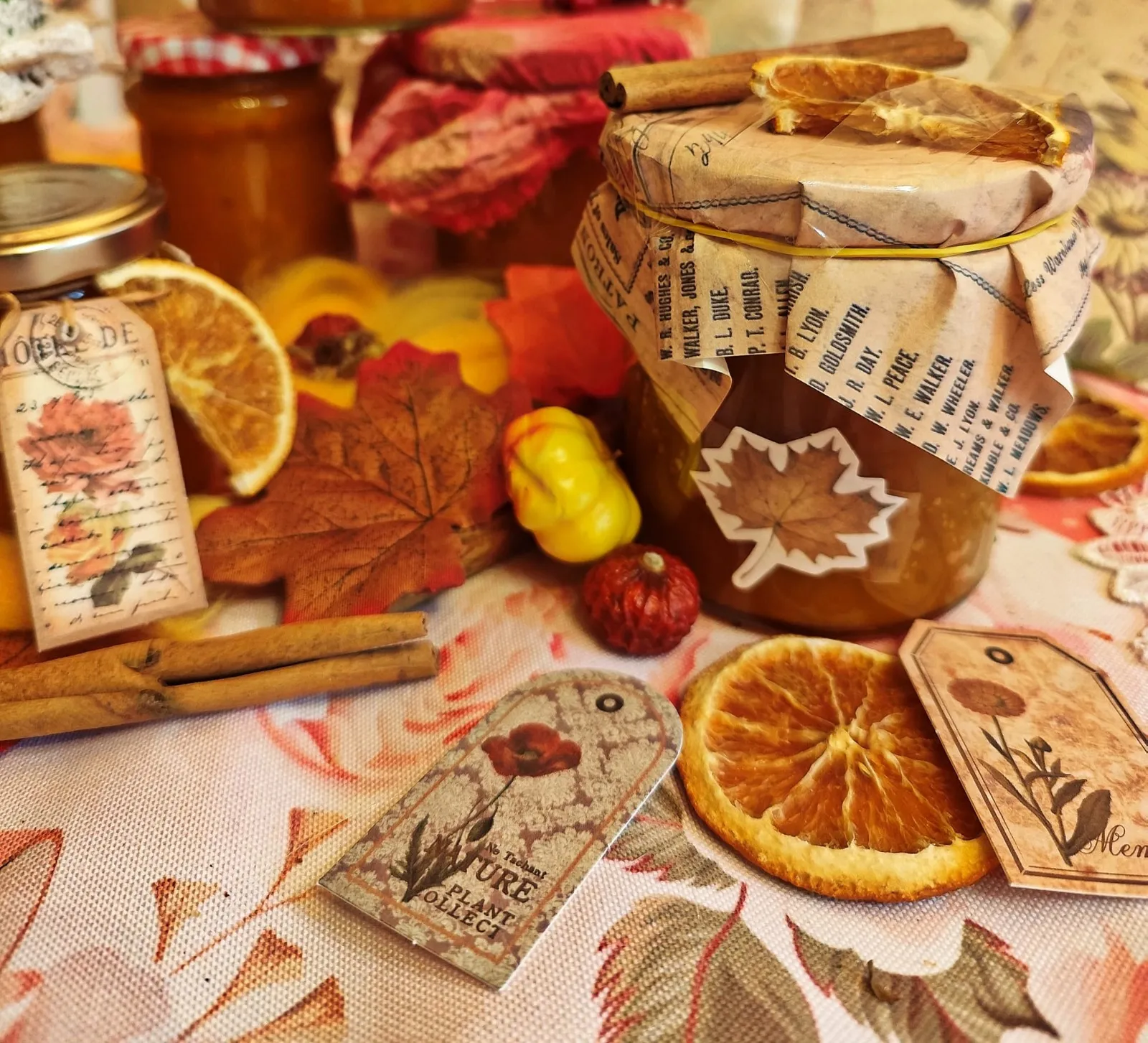 Naturwerkstatt, Schweden, Nordic, Workshop Kräuter, nordisch, Bauerngarten anlegen, Kreatives Gestalten mit Naturmaterialien, Feuerkochen, Pflege & Wellness, Blütenöl, Heilsalben herstellen, Hasetal, Artland, Lappland, Menslage, Dog, Yoda, Tierschutzhund, Gartenführung, Kräutermedizin von der Naturwerkstatt Lille Lönneberga