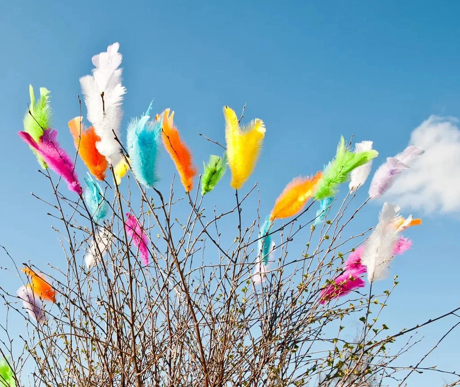 Naturwerkstatt - Kräuter