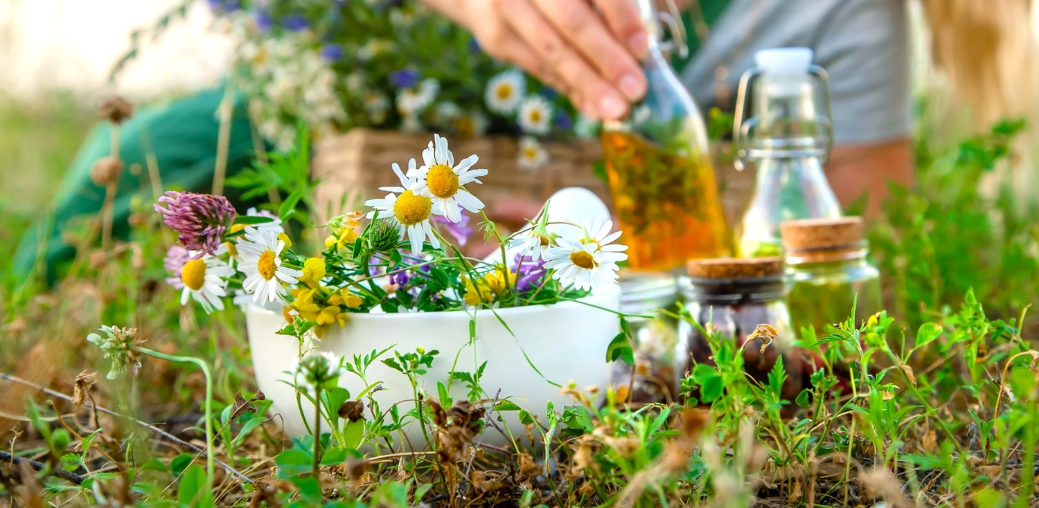 Naturwerkstatt, Schweden, Nordic, Workshop  Kräuter, nordisch, Bauerngarten anlegen,  Kreatives Gestalten mit Naturmaterialien, Feuerkochen, Pflege & Wellness, Blütenöl, Heilsalben herstellen, Hasetal, Artland, Lappland, Menslage, Dog, Yoda, Tierschutzhund, Gartenführung