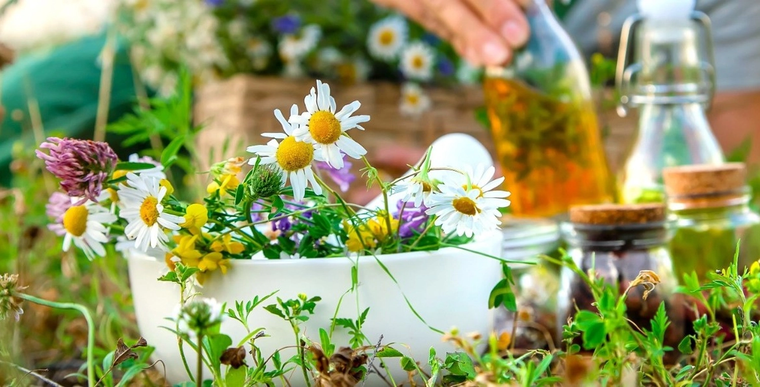 Naturwerkstatt, Schweden, Nordic, Workshop  Kräuter, nordisch, Bauerngarten anlegen,  Kreatives Gestalten mit Naturmaterialien, Feuerkochen, Pflege & Wellness, Blütenöl, Heilsalben herstellen, Hasetal, Artland, Lappland, Menslage, Dog, Yoda, Tierschutzhund, Gartenführung