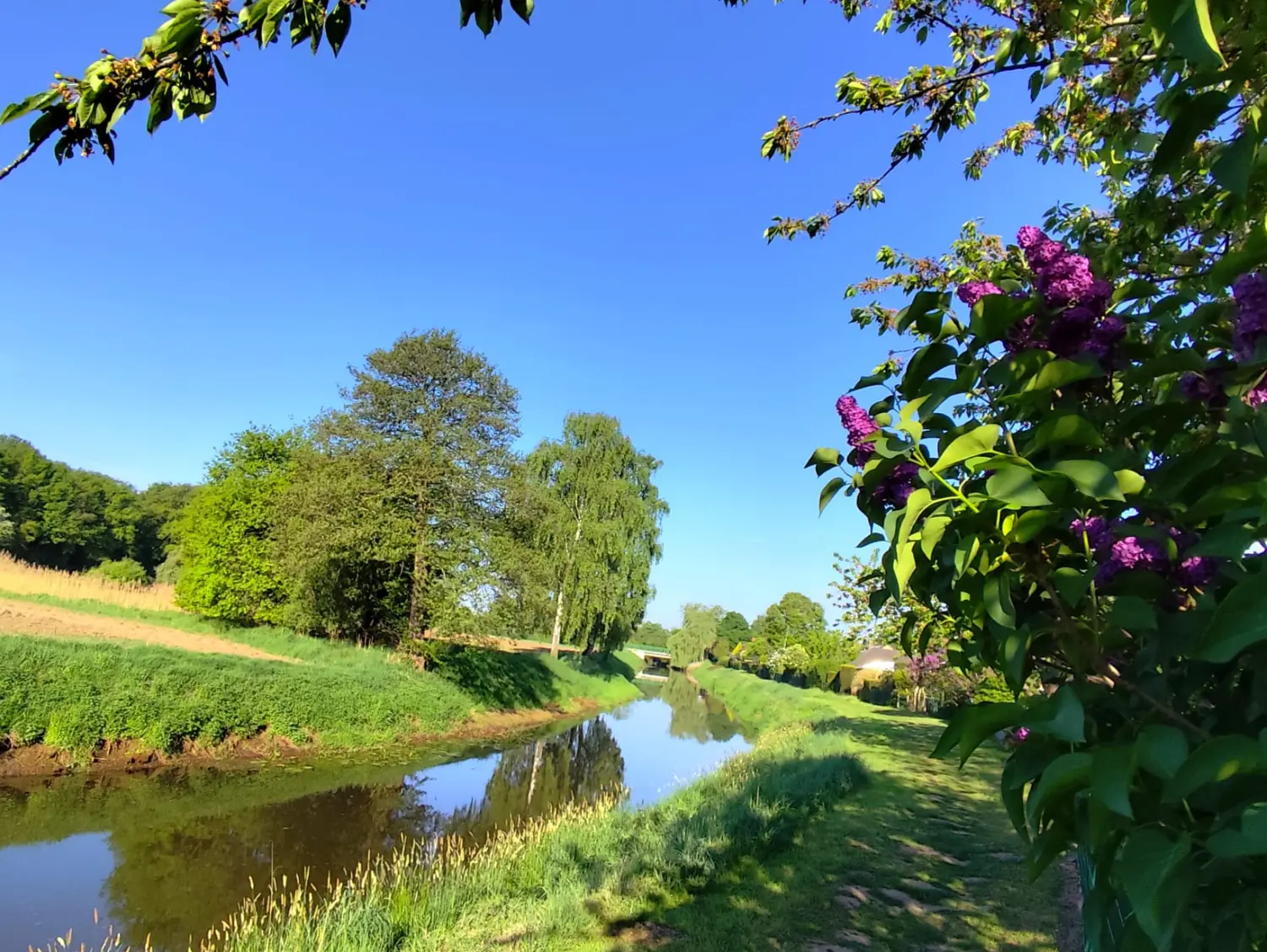 Naturwerkstatt - See