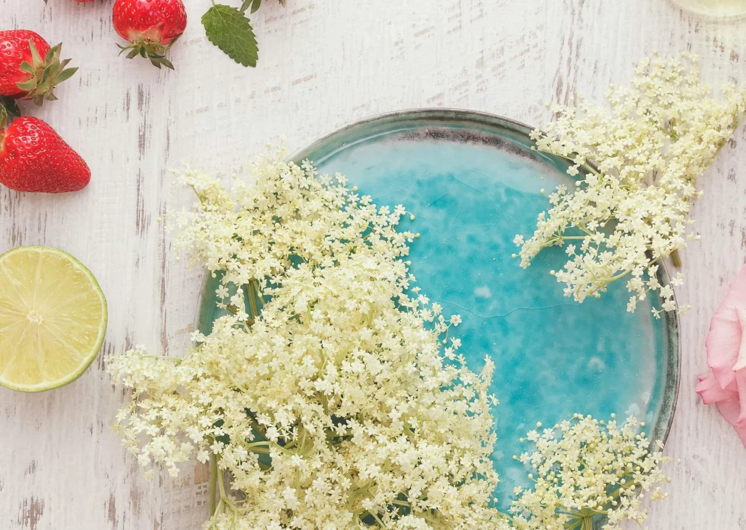 Naturwerkstatt - Blumen und Pflanzen Lillie Lönneberga