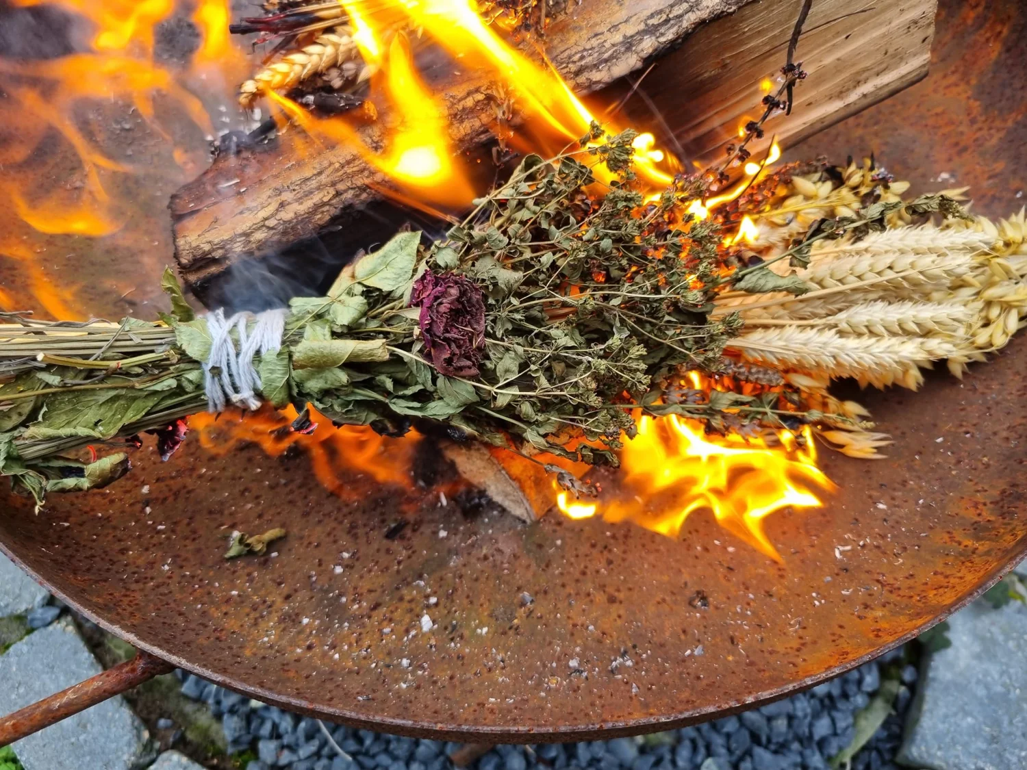 Naturwerkstatt - Blumen und Pflanzen Lillie Lönneberga