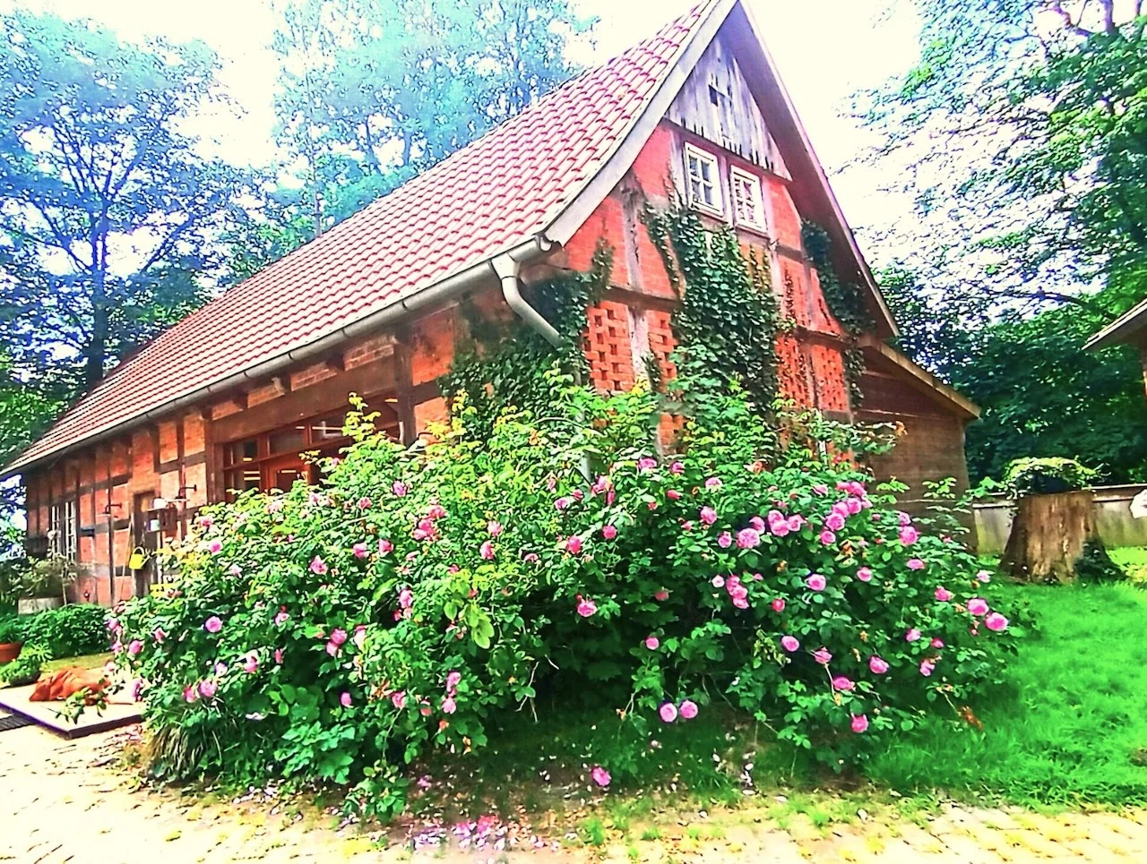 Naturwerkstatt - Haus